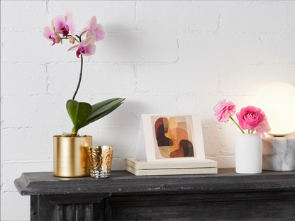 More Than a Shade | Folded Note Card